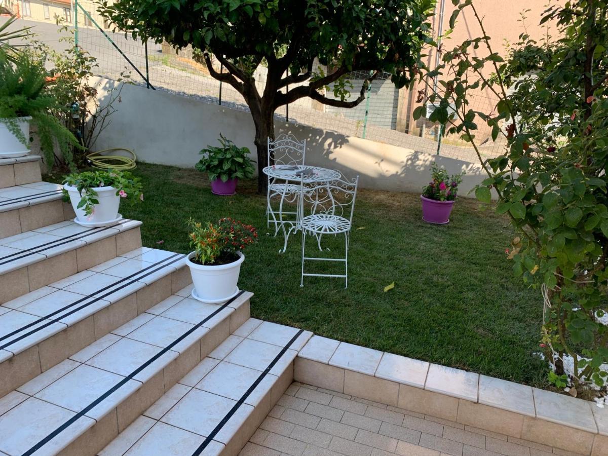 Verbicaro B&B Villa Pignataro מראה חיצוני תמונה